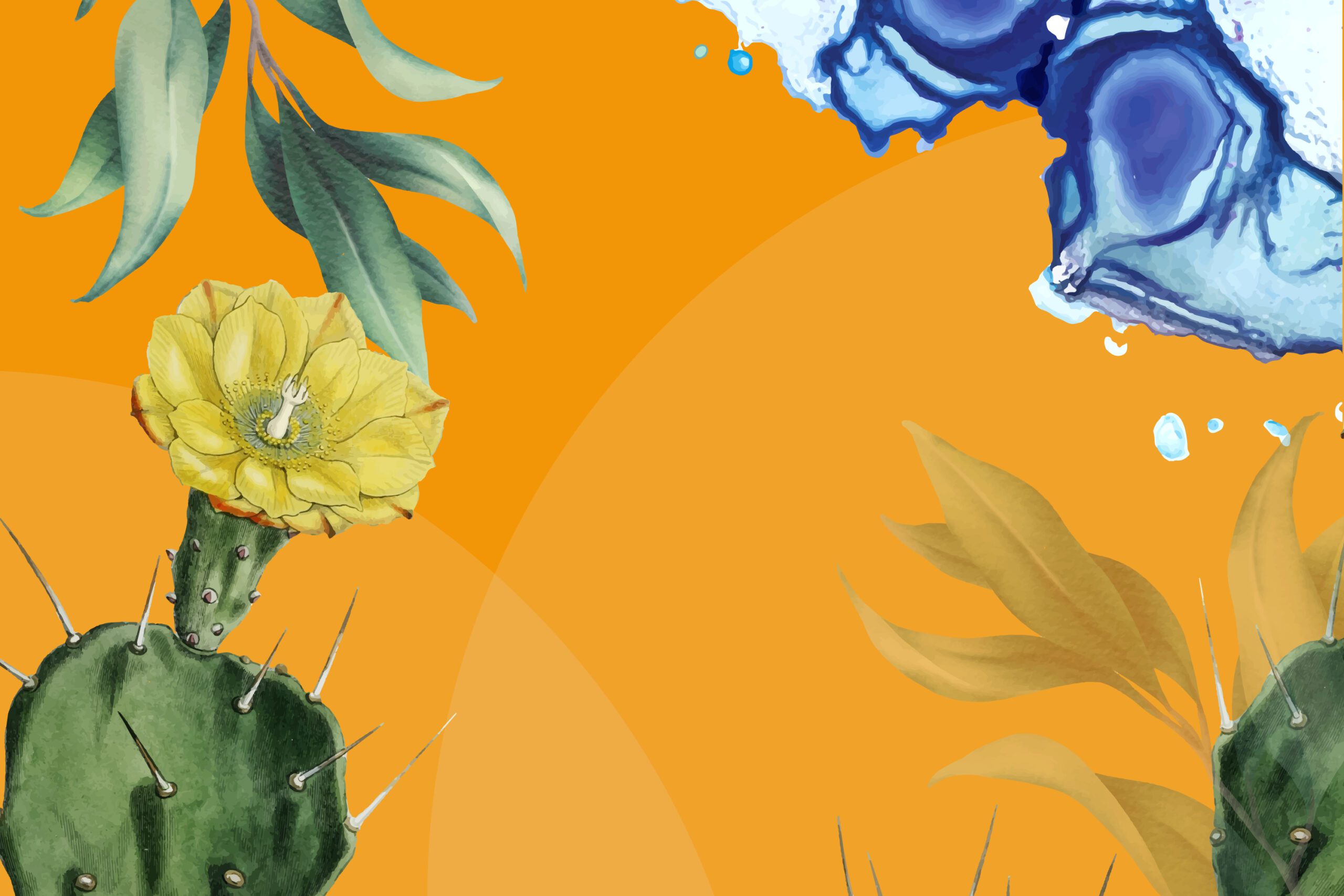 Presentazione La Forma Dell’Acqua – Venerdi 13 Giugno – Militello in val di Catania